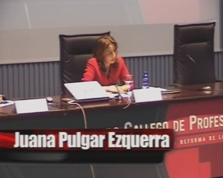 Juana Pulgar Ezquerra, Catedr&aacute;tico de Dereito Mercantil. Universidade Complutense de Madrid - IV Encontro Galego de Profesionais do dereito concursal